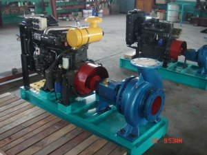 Diesel Engine Water Pump