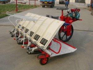 Riding Rice Transplanter